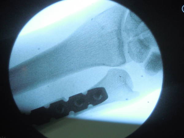 DSCN0624.JPG