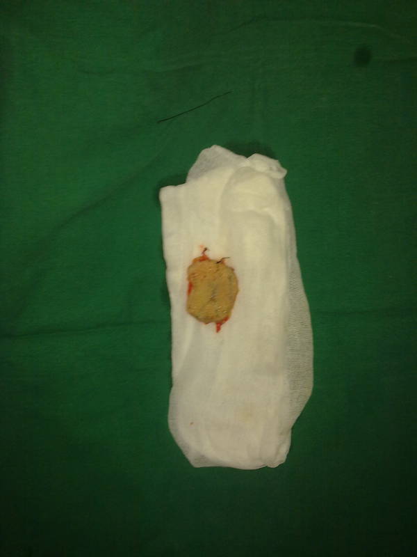 201108201568.jpg