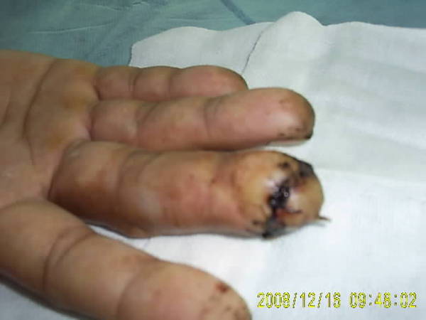 SUC53582.JPG