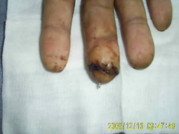 SUC53581.JPG