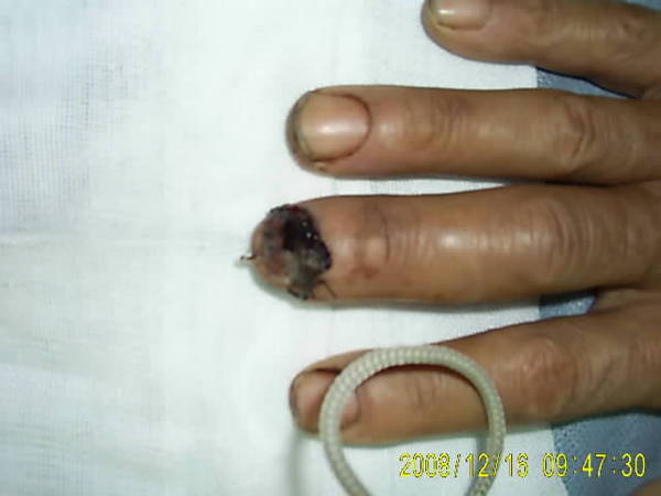 SUC53580.JPG