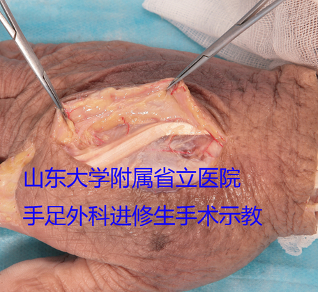 IMG_1688副本.jpg