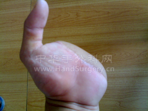 图像1031.jpg