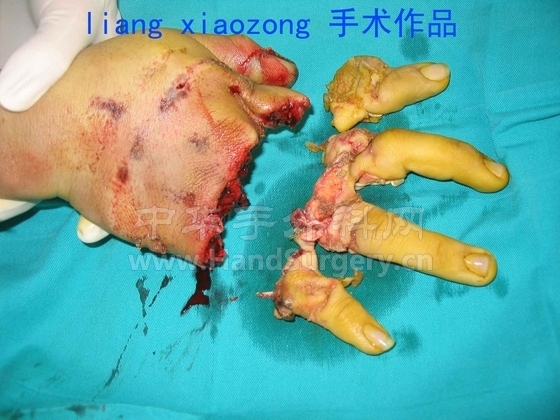 周信柳3 拷贝.jpg