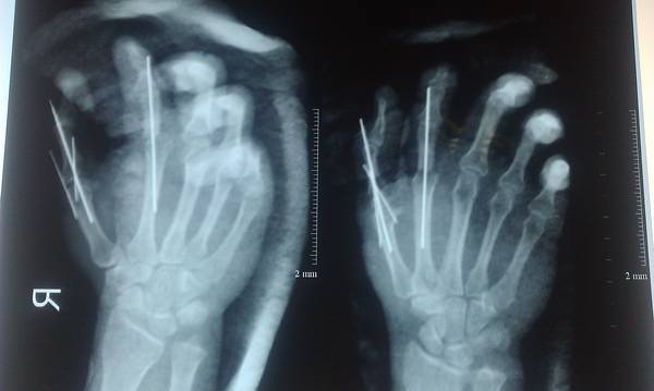IMAG0675.jpg