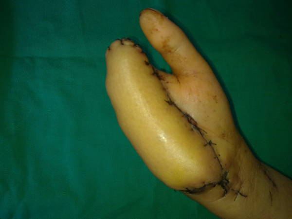 201109151651.jpg