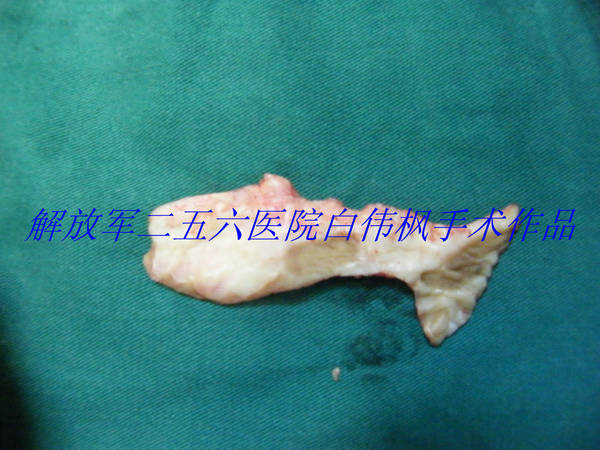 DSCF9328.JPG