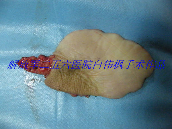 DSCF9365.JPG