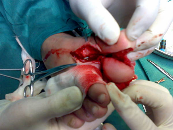 20100127634.jpg