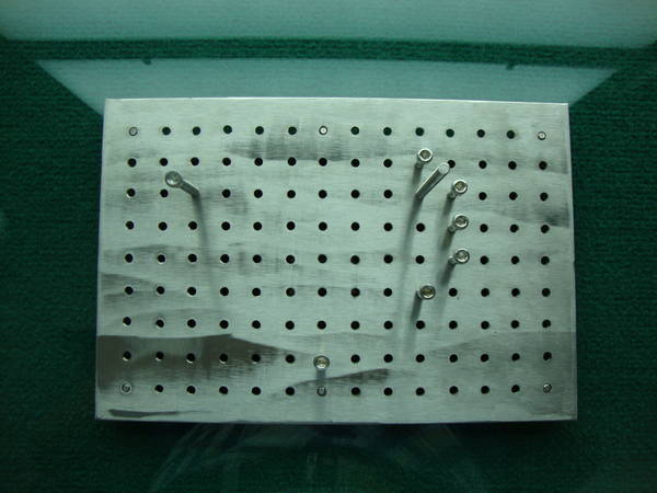 DSC00313.JPG