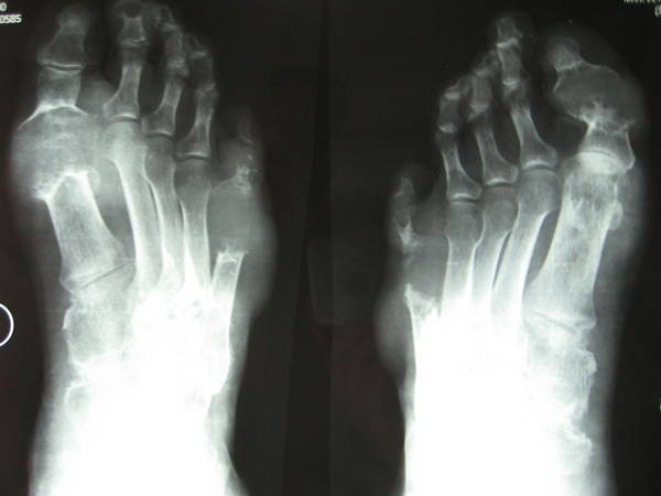照片 370.jpg