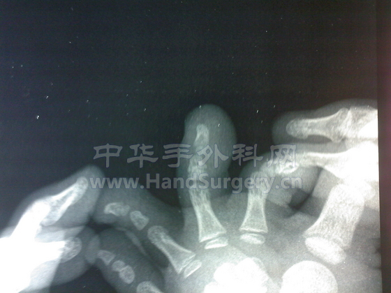 SPM_A0145.jpg