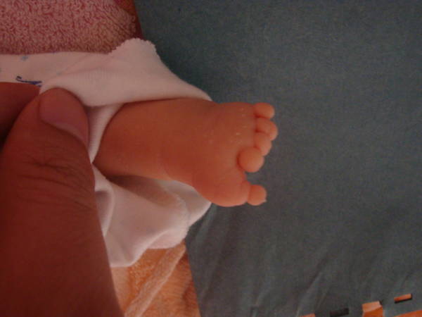DSC02894.JPG