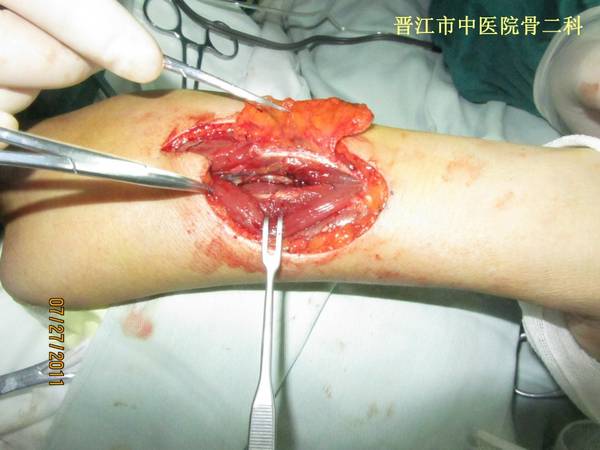 照片 133.jpg