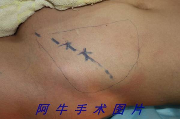 照片 159[1].jpg