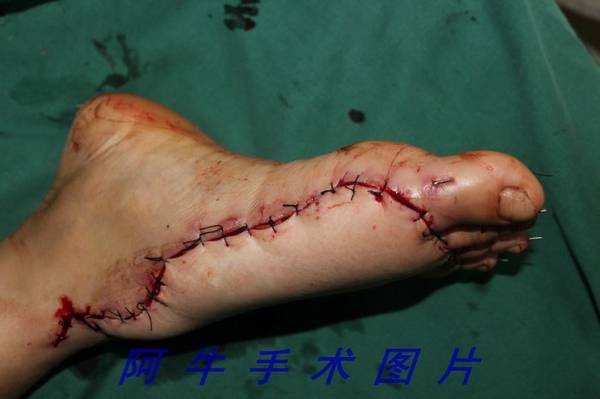 照片 187[1].jpg