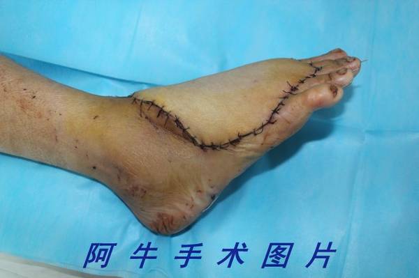 照片 056[1].jpg