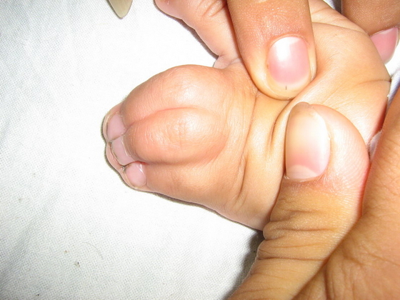 照片 075.jpg