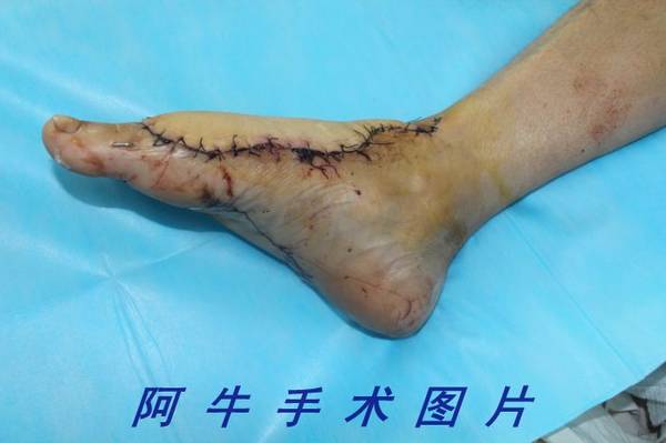 照片 059[1].jpg