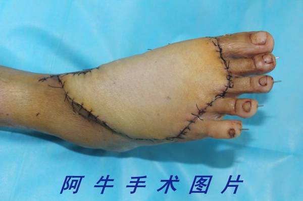 照片 053[1].jpg