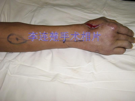 照片 041.jpg