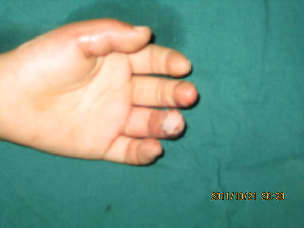 IMG_2377.JPG