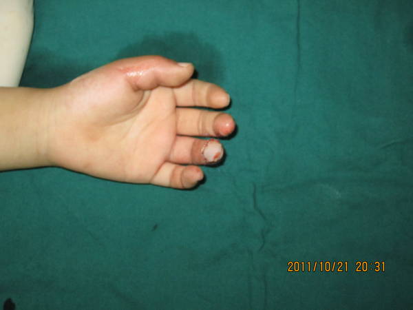 IMG_2378.JPG