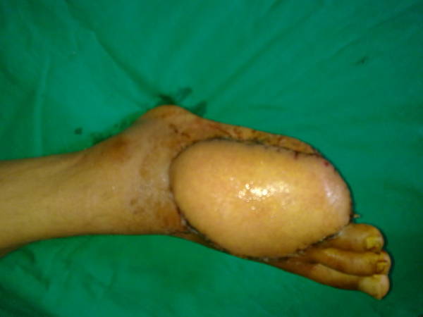 201109301696.jpg
