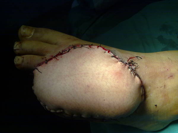 201109161666.jpg