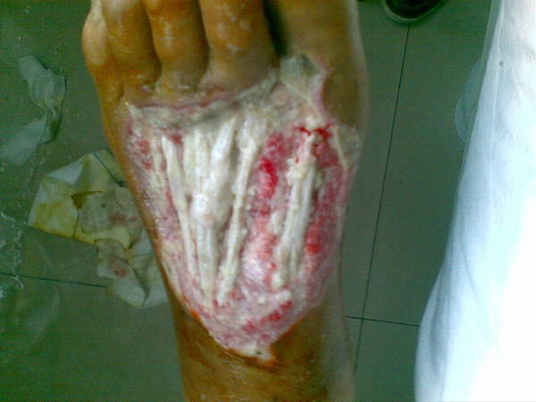 20111017.jpg