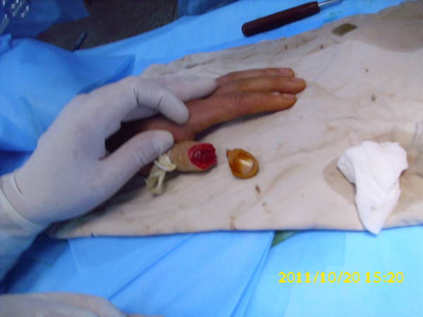 DSCI0217.JPG