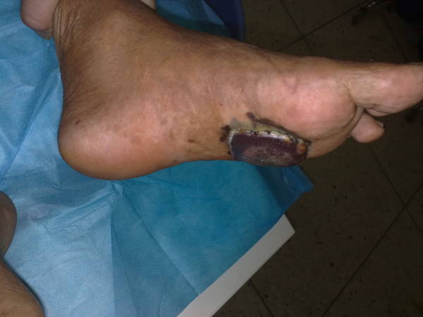 201107291241.jpg