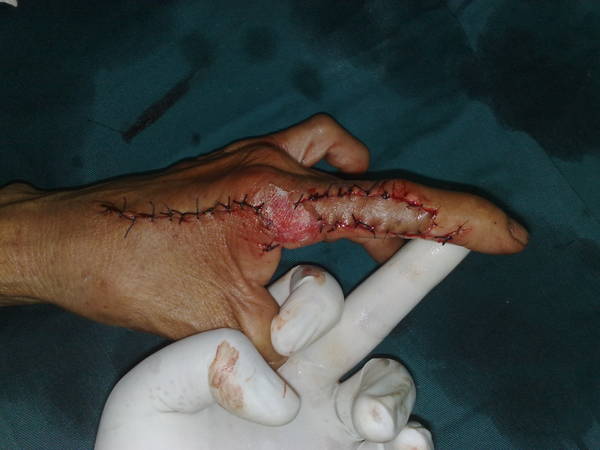201106251182.jpg