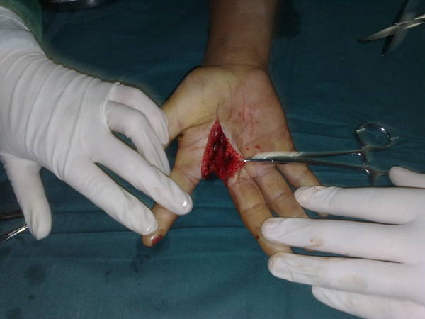 201108031253.jpg