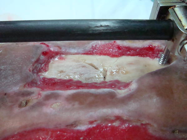 DSC05123.JPG
