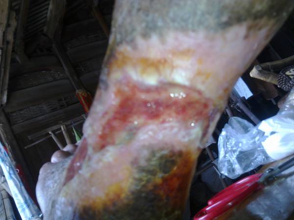 20110829347.jpg