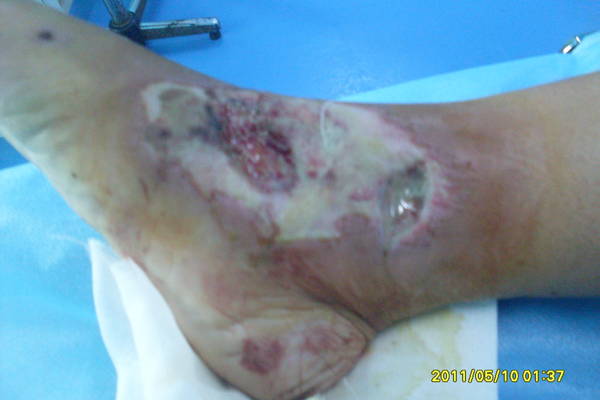 SDC12445.JPG
