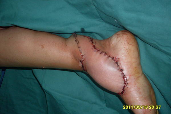 SDC12491.JPG