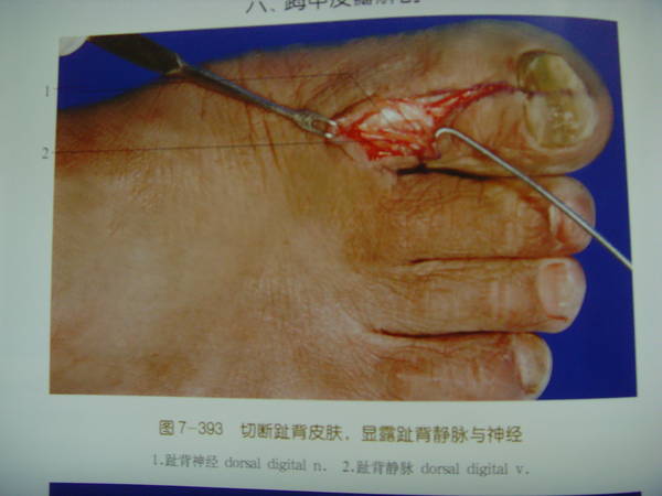 SNV34895.JPG