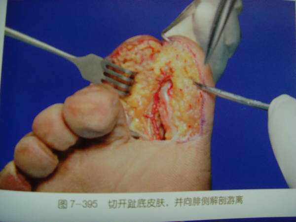 SNV34897.JPG