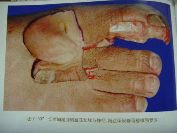 SNV34899.JPG