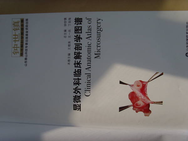 SNV34846.JPG