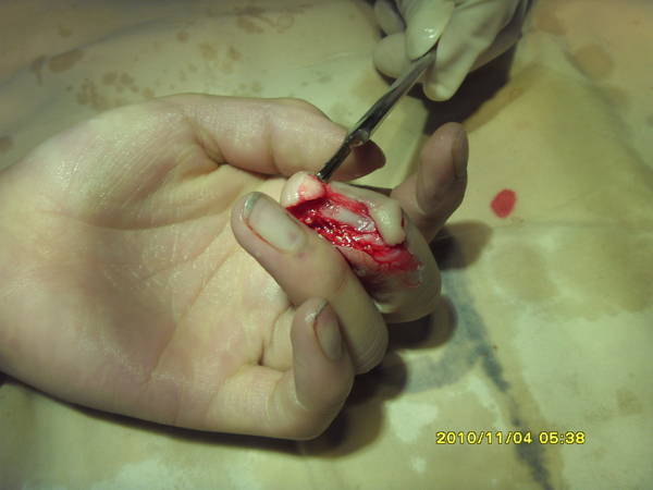 SDC10176.JPG