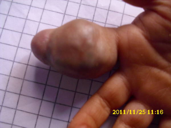 DSCI0318.JPG
