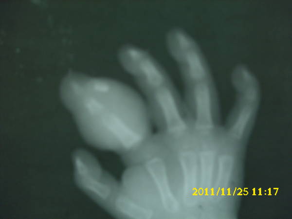 DSCI0322.JPG