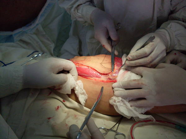 SDC12455.JPG