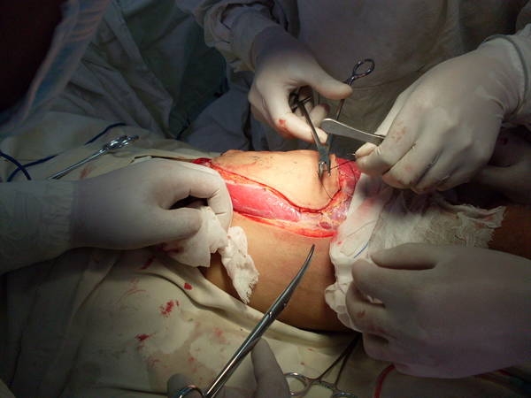 SDC12456.JPG