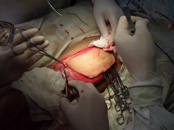 SDC12458.JPG