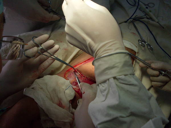 SDC12460.JPG