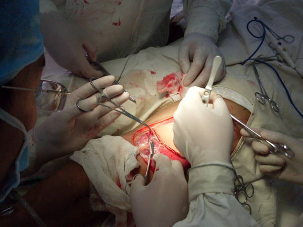 SDC12461.JPG